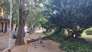 U Puli nevrijeme napravilo kaos