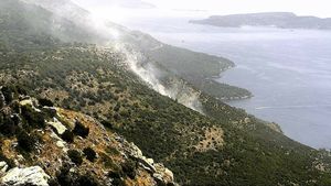 FOTO Dubrovački vatrogasci imali pune ruke posla