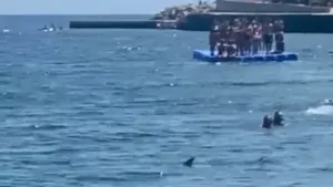 VIDEO Panika na plaži - Morski psi plivali na metar od kupača