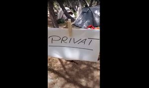 Ilegalni kamperi okupirali i "privatizirali" otočić Artina kod Pakoštana