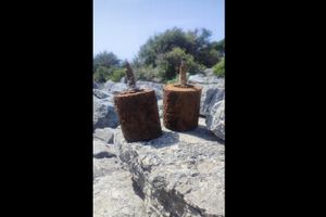 Na Ugljanu pronađene dvije aktivne, 80 godina stare nagazne mine - Ovo je mjesto pronalaska!