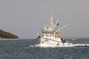 Državni zavod za statistiku: Ribara je sve manje, a smanjuje se i ulov ribe!