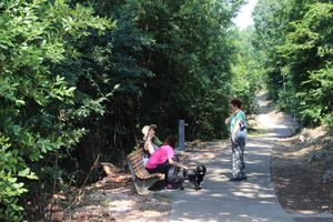 U Parku lovora na Kantridi zasađene voćke i postavljena špina s pitkom vodom
