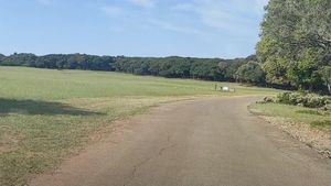 Priveden vozač automobila koje je naletjelo na majku i dijete na Brijunima