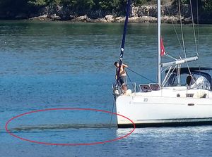 Jedriličar usred uvale Dugog otoka ispustio cijeli rezervoar govana?