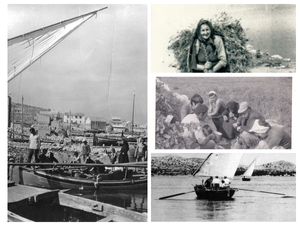 MODRAVE Putevima težaka