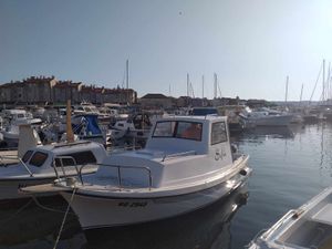 Nestala pasara iz Biograda pronađena u Neviđanima na Pašmanu: "Ukrali ga neki pijani nakon koncerta"