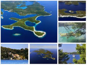 OVAKO SE ČUVA STOLJETNA ŠUMA Zadnji požar koji je poharao ovaj otok bio je 1917., a kanaderi su zadnji put spašavali 1988. godine