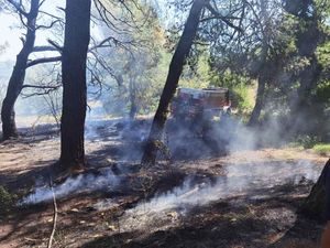 U tijeku gašenje šumice i niskog raslinja na Marsovom polju u Puli - Izgorjelo 2.500 kvadrata