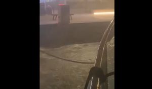 Splitska luka smrdi od oborinskih i fekalnih voda nakon snažne kiše