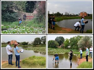 Pomor riba u Medulinskoj lokvi