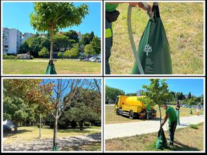 Pula nastavlja s implementacijom inovativnih rješenja u borbi protiv klimatskih promjena