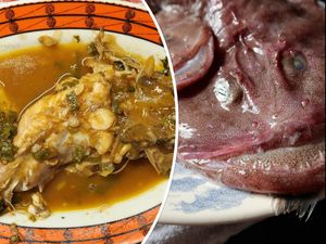 ZEMLJA GURMANIJA Grdobina - Grda lipota s kapulicom mladom