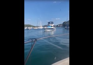 Kaos i nered u Prvić Luci