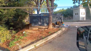 Iz Općine Kostrena upozoravaju da neosiguran otpad i lako dostupna hrana privlače divljač