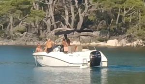 Gliseraš ušao među kupače na Molatu i pokazao im stražnjicu