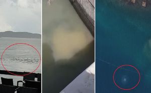 VIDEO More u Zadru na više mjesta ozbiljno zagađeno, ljudi prijavljuju bolesti, turisti prijete tužbama - Nitko iz Grada ne želi komentirati!