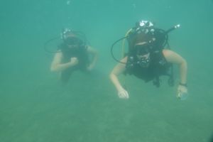 "Discovery Dive" - Zaron kao predaktivnost Europskoj noći istraživača