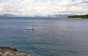 Stanovnicima Mljeta se sufinancira nabavka električnih penti za brodice