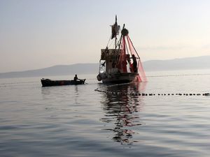 Poziv na radionicu za potrebe izrade lokalne razvojne strategije u ribarstvu