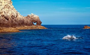 Možemo li zaštititi 30 posto Jadranskog mora?