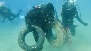 Pulsko podmorje sve je čišće zahvaljujući eko akcijama