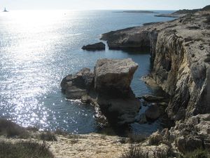 "Šumska soba" koja će se 'otvoriti' na Kamenjaku malim će Istrijanima ponuditi nezaboravne avanture