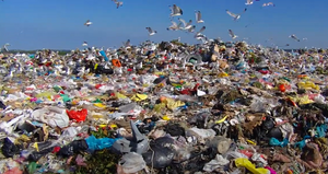 "Smrdljivi" Kaštijun Istrijanima noćas nije dao spavati