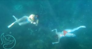 Sirene čiste lošinjsku uvalu od smeća