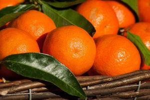 Troškove proizvodnje i uzgoja mandarina ne prati otkupna cijena