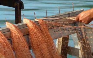 Poziv ribarima za dostavu obrasca za prikupljanje društveno-gospodarskih podataka za 2022. godinu