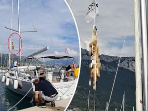 DEGUTANTNO Objesili lešinu lisice na jarbol jedrilice