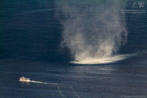 Meteorologinja: "Možemo očekivati pojave koje do sada na našim prostorima nismo vidjeli"