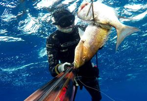 Što sve čini osnovnu opremu za podvodni ribolov