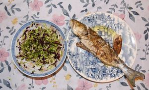 ZEMLJA GURMANIJA - Strijelka i tress brassicaei