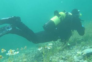 Visinsko ronjenje i visinska bolest