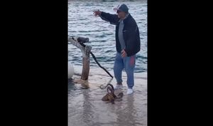 Upoznajte Fridu, pitomu hobotnicu s Hvara