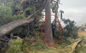 Dogradonačelnik Splita stao ispod zaštićenog stabla u Splitu: "Neka padne po meni!" - Policija: "Ne smijemo se miješati"