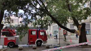 Osim potopa, istarski vatrogasci imaju posla i s oborenim stablima po prometnicama i naseljima diljem Istre