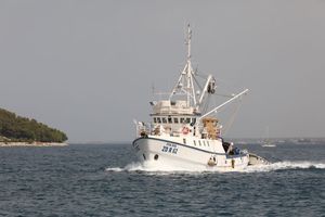 Od 1. siječnja novi Pravilnik o dostavi podataka o ulovu u gospodarskom ribolovu