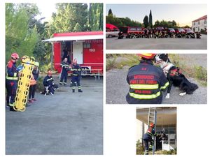 Održana međunarodna vatrogasna vježba pod nazivom ISTRA K-9 2023.