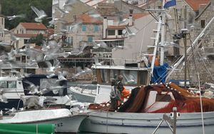 Nova EU-a pravila u ribarstvu: Uvodi se digitalizirana prijava ulova, veća plovila nadzirat će se kamerama