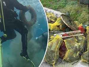 FOTO: ERK Leut iz Blaca očistio uvale Elafita