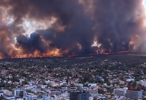 VIDEO Stotine vatrogasaca bore se protiv požara - Veliki vatreni zid približava se milijunskom gradu