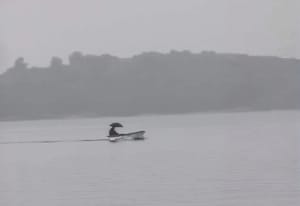 HIT FOTOGRAFIJA Čovjek s Murtera otišao na more s kišobranom