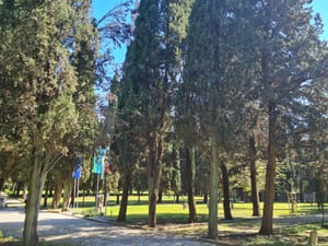 Mornaričko groblje u Puli postalo je dio Europske rute značajnih groblja