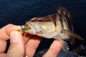 Sitna riba smetnja je mnogim ribolovcima, no uz malo kalkuliranja ovaj se problem može efikasno riješiti