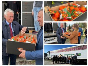 Dubrovačko-neretvanski župan uručio donaciju mandarina Vukovarsko-srijemskoj županiji