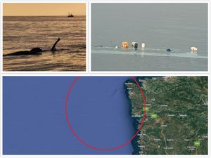 UPOZORENJE! Jedna ribarska brodica potonula, druga se nasukala, ribari spašeni - Akvatorij Umaga i Savudrije prepun balvana