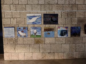 "More više ne more" - Izložba na temu alarmantnog stanja života u moru izazvanog klimatskim promjenama i onečišćenjem